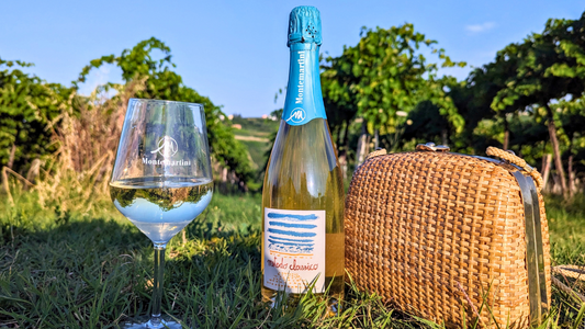 Picnic tra Piacenza e provincia (con vino nel cestino): la nostra guida