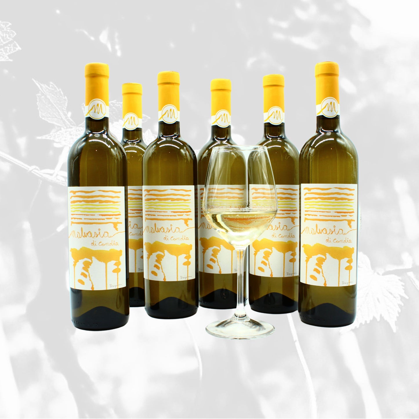 MALVASIA SECCA D.O.C. FERMO