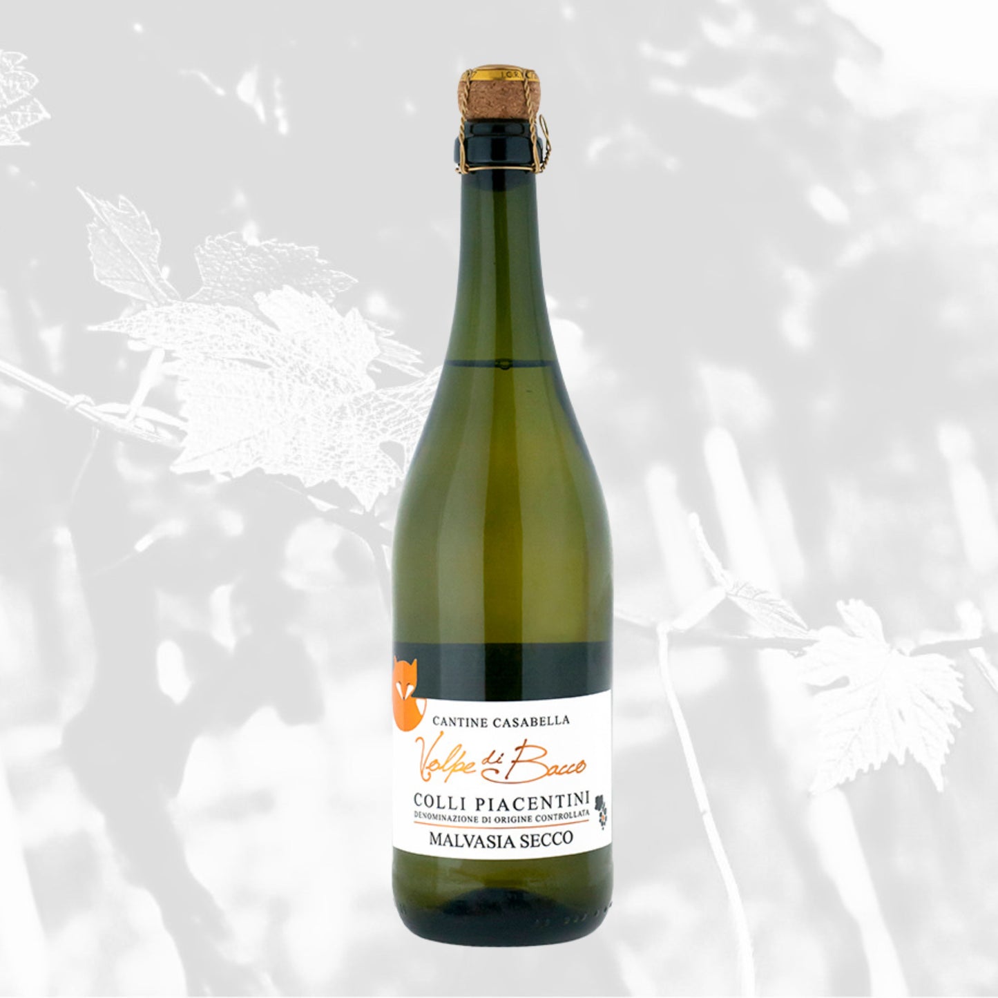 MALVASIA SECCO FRIZZANTE COLLI PIACENTINI DOC