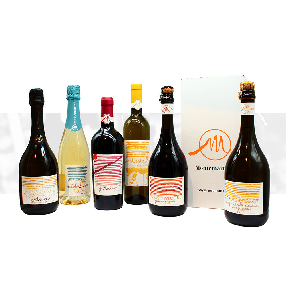 Degustazione Montemartini