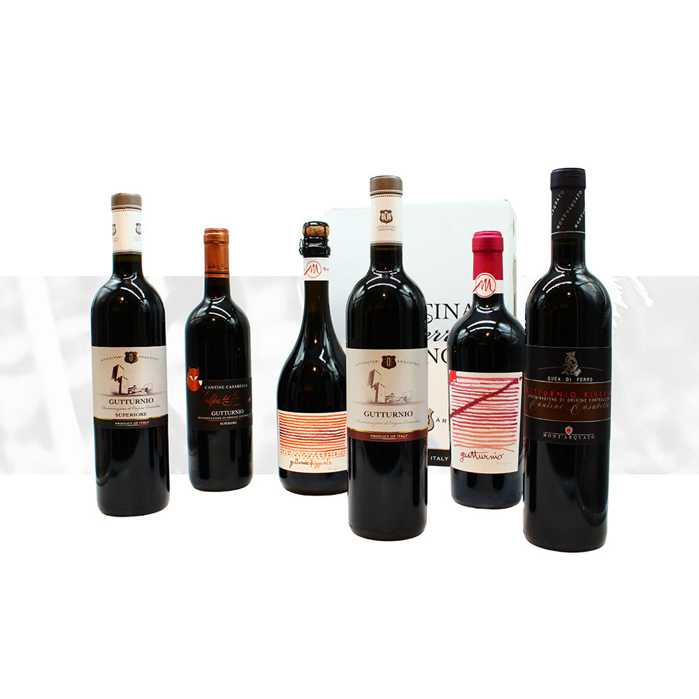 Degustazione Vini Rossi