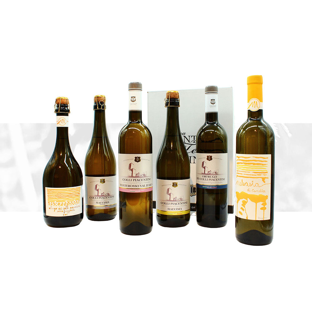 Degustazione Vini Bianchi