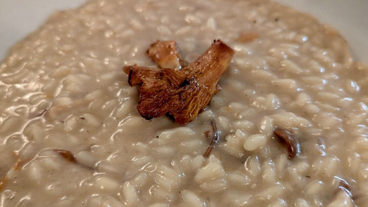 Funghi che passione! I vini bianchi e rossi che esaltano le tue ricette