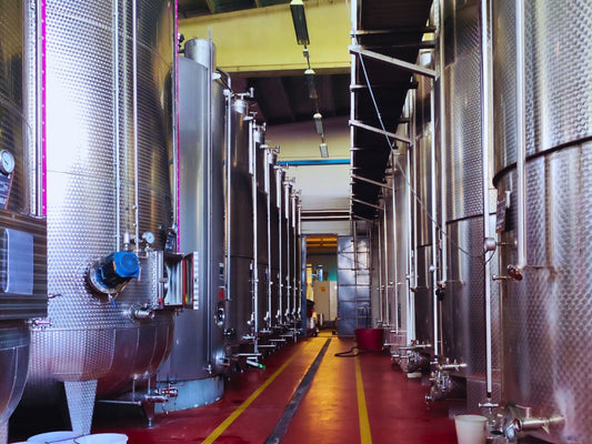🍇 Dall’acino al calice: la magia della fermentazione